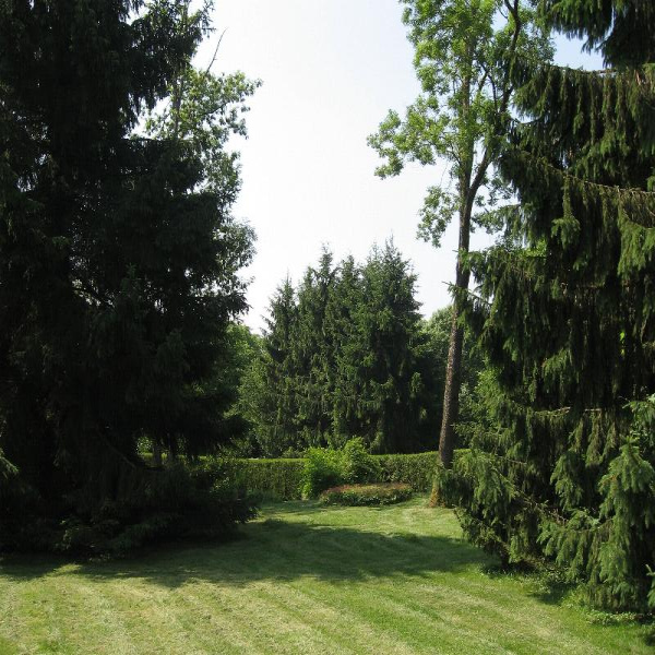 Offres de vente Terrain Villers-le-Tourneur 08430