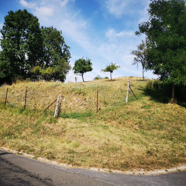 Offres de vente Terrain La Neuville-lès-Wasigny 08270