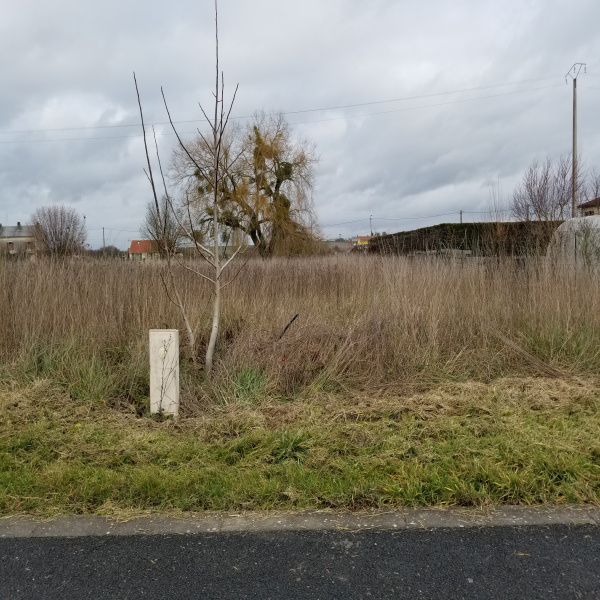 Offres de vente Terrain Amagne 08300